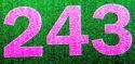 ��������� �� �-243�